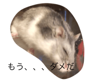 398602992