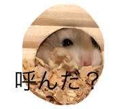 398602993