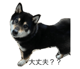 398603317