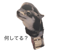 398603322