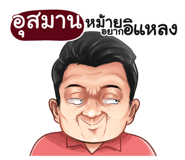 398605288