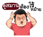 398605295