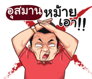 398605305