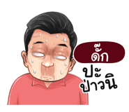 398605562
