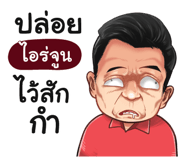 398625054