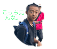398633262