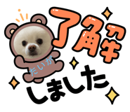 398637218
