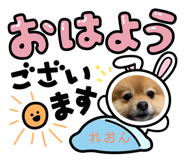 398637219