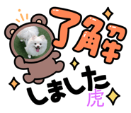 398637221