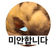 398637876