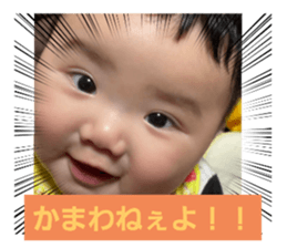 398647841