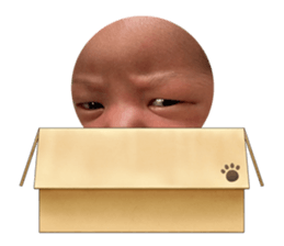 398653315