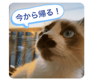 398657490