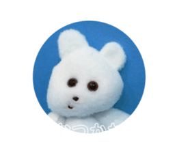 398723675