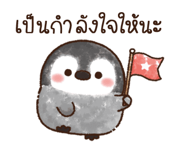 เพนกวินน้อย รูปที่ 11