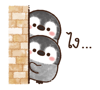 เพนกวินน้อย รูปที่ 12
