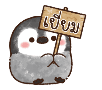 เพนกวินน้อย รูปที่ 14