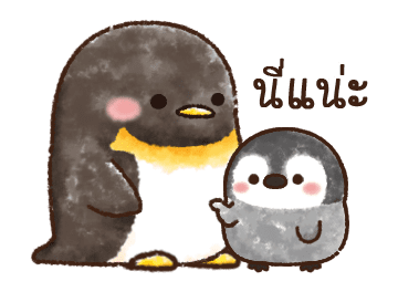 เพนกวินน้อย รูปที่ 23