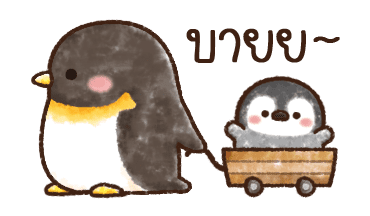 เพนกวินน้อย รูปที่ 24