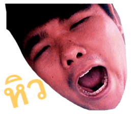 39883882