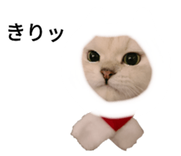 398892761