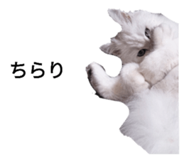398892771