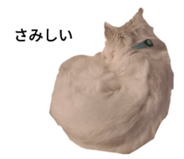 398892790