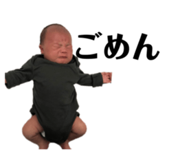 398894048