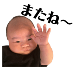 398894061