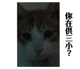 398911611