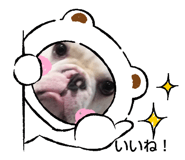 398916351