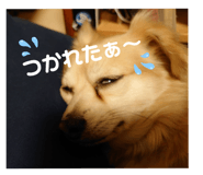 398968400
