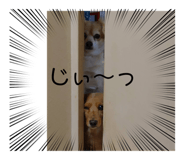 398968401
