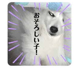 398970799