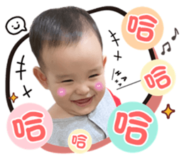 399271119