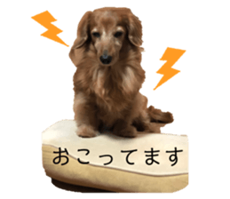 399365912