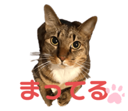 399370102