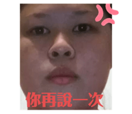 399489977