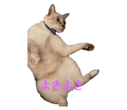 399490715