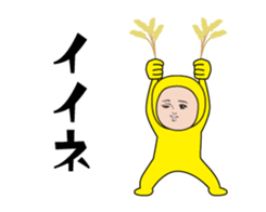 399504255