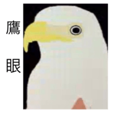 399564910