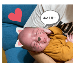 399576804