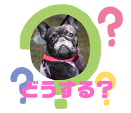 399662364