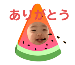 399677644