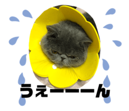 399688566