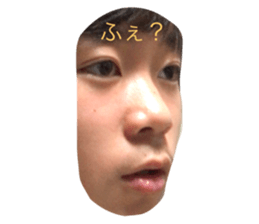 399737790