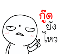 39974620