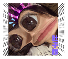399765958