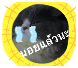 399786774
