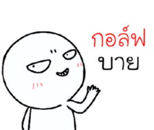 39981496